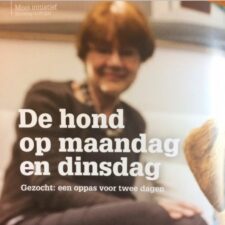 oppassen op hond ,oppas voor de hond, opoe oppas hond, oppas voor mijn hond, hondenoppas prijs, oppas aan huis hond, oppas gezocht, voor hond, huisdieren oppas vakantie, hondenoppas gezocht, voor vakantie, oppas voor huisdieren, oppassen op een hond, prive hondenoppas, oppasadres hond, oppas huisdieren vakantie, hondenoppas aan huis tijdens vakantie, ik zoek hondenoppas