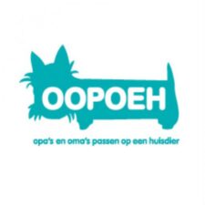 honden oppas gezocht, oppas hond gezocht, oppashond, hondenoppas worden, oppashond gezocht, oppas voor hond, oppas voor hond gezocht, hond oppassen, oppassen op honden,