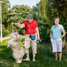 ede oppas hond, oppas hond ede, Groenoord, Noorderkwartier, De Kooi, Meerburg, Rijndijkbuurt, Professorenwijk-Oost, Burgemeesterswijk, Professorenwijk-West, Tuinstadwijk, Cronestein, Klein, Cronestein, Roomburg, Waardeiland, Vreewijk