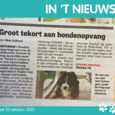 hondenoppas aan huis vakantie, goedkope hondenoppas, oppashonden, rover hondenoppas, oppas hond aan huis, oppas hond vakantie, oppas voor de hond, opoe oppas hond, hondenoppas aan huis kosten, particuliere hondenoppas, teckel oppas, kosten hondenoppas, puppy oppas gezocht, rottweiler oppas, hondenoppas vakantie gezocht, hondenoppas scheveningen