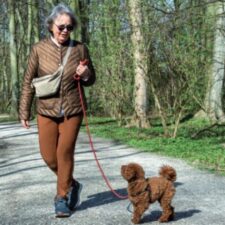 Marja en oppashond Koosje in Den Haag (Bezuidenhout)