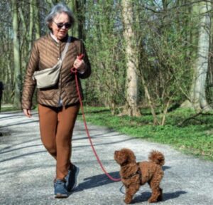 Marja en oppashond Koosje in Den Haag (Bezuidenhout)